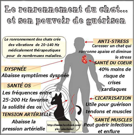 Image ronrontherapie en franccais