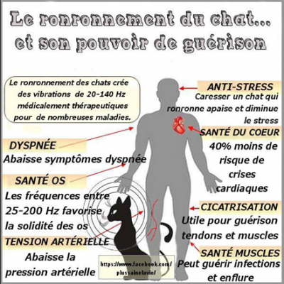 Image ronrontherapie en franccais