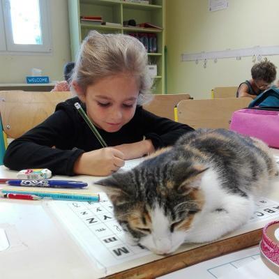 Olive surveille clemence