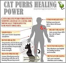 Purring therapy
