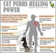 Purring therapy